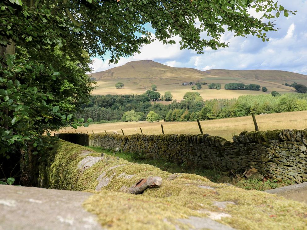 A view of a mountain and field with trees at The Bothy in Wildboarclough