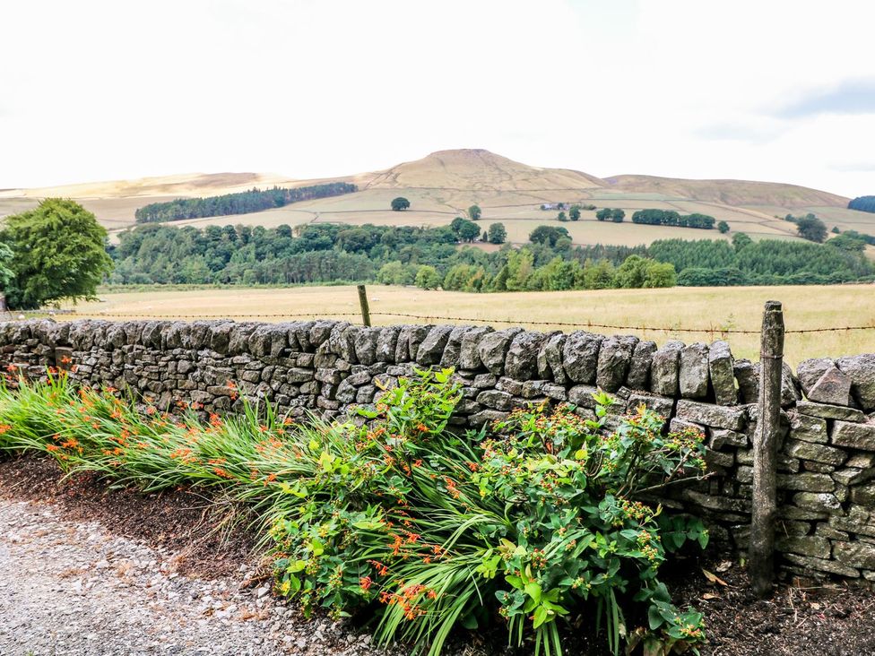 A view of hills and a stone wall with plants at The Bothy in Wildboarclough