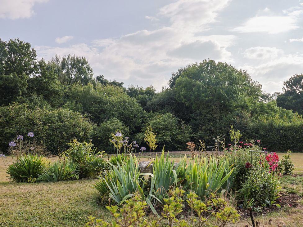 A garden with various plants and flowers at The Roost in Whitford Nr. Colyton