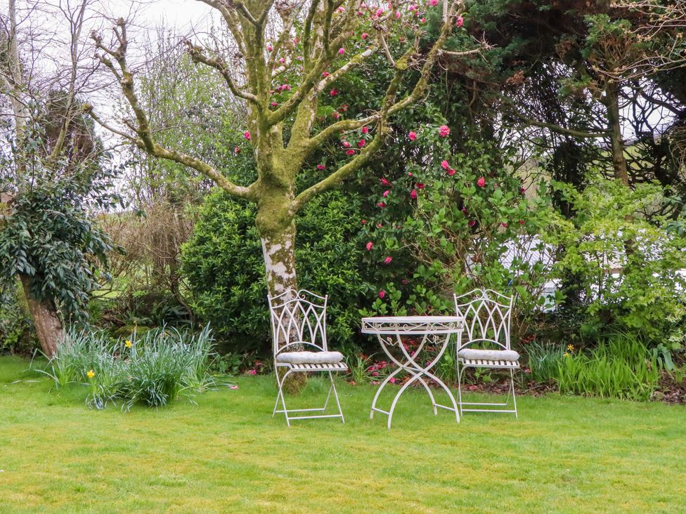A garden with two chairs and a table by a tree at Town Farm Cottage in Barnstaple