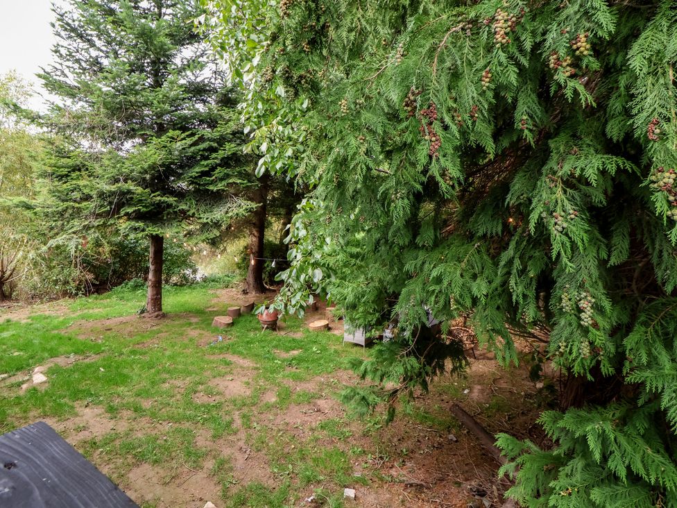 A garden area with trees and planters at The Larch House in Farndon
