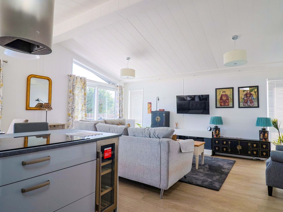 A living room with a sofa and television at Cedar 1 Pinewood Retreat in Rousdon near Lyme Regis
