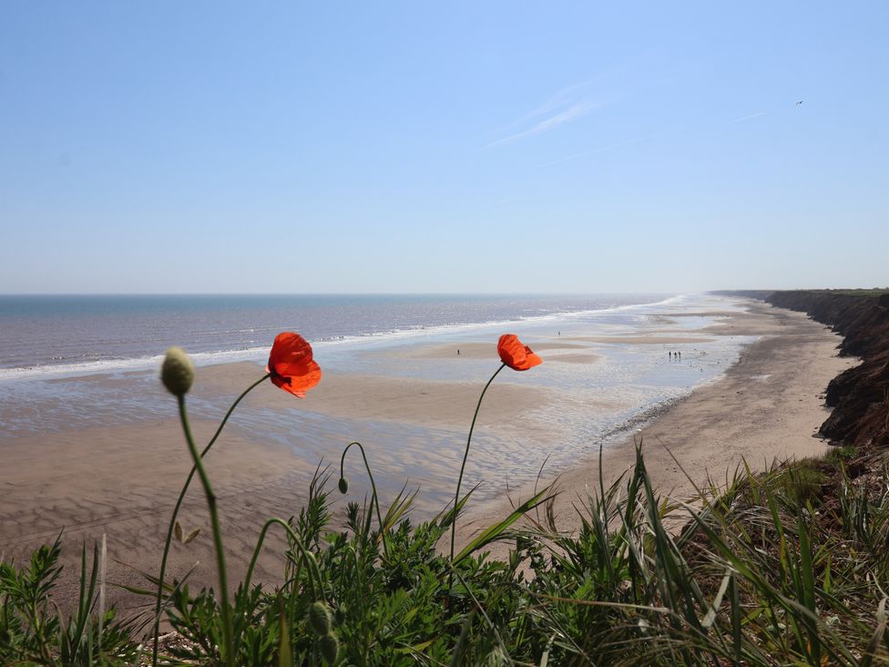 A beach with poppy flowers in the foreground at Meadows Park 2 Great Hatfield near Hornsea