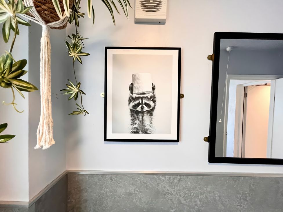 A raccoon photo on the wall in a bathroom at Clarence House in Llandudno