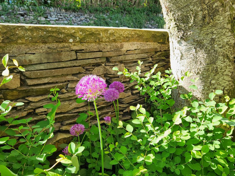 Flowers near a stone wall and tree at 1 Park Road Windermere