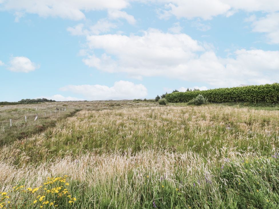 A field with grass and wildflowers at Teac Caoimhe in Falcarragh
