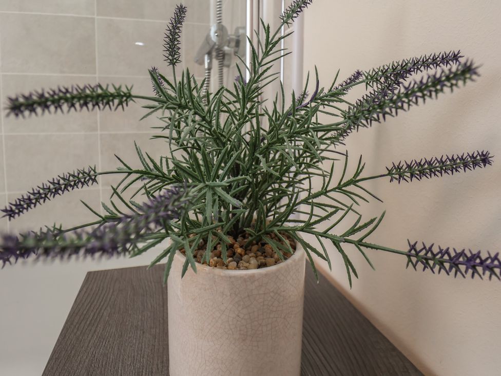 A plant in a decorative pot on a table in a bathroom at Larpool Retreat