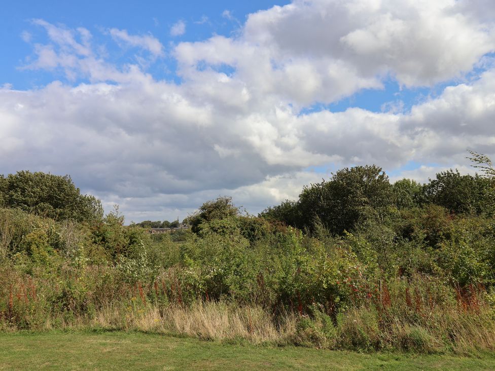 An outdoor area with grass, trees, and bushes under a cloudy sky at Larpool Retreat 