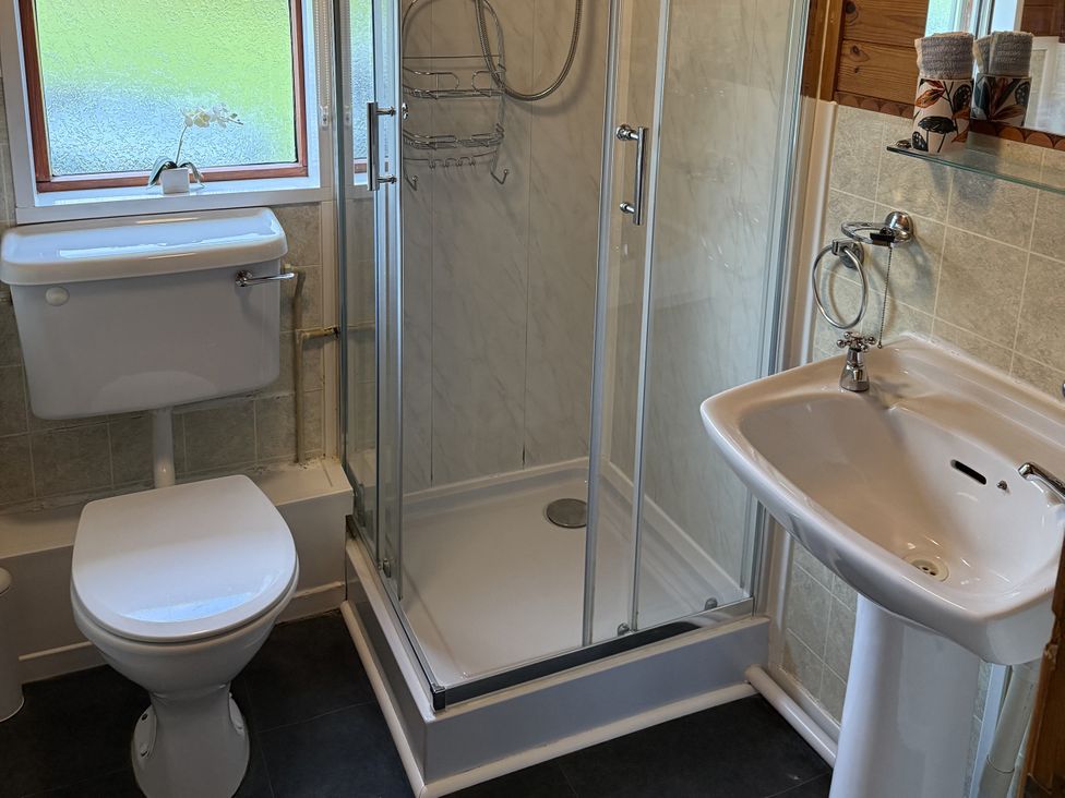 A bathroom with a shower, toilet and sink at Oak Lodge in Mynydd Cerrig near Porthyrhyd