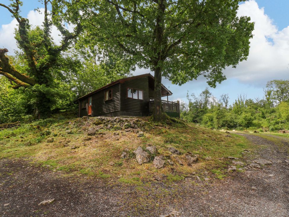 A cabin surrounded by trees and a rocky path at Oak Lodge in Mynydd Cerrig near Porthyrhyd