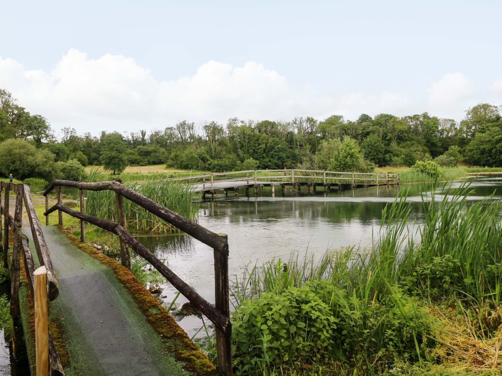 A bridge over water in a natural setting at Oak Lodge in Mynydd Cerrig near Porthyrhyd