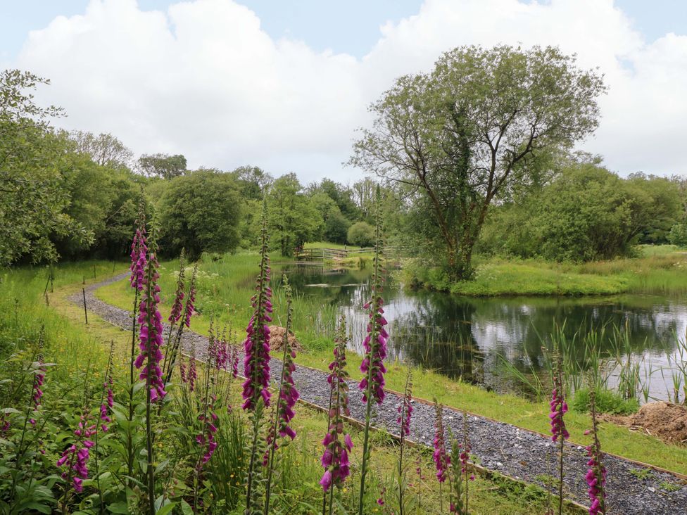 A pathway next to a pond with flowers at Oak Lodge in Mynydd Cerrig near Porthyrhyd