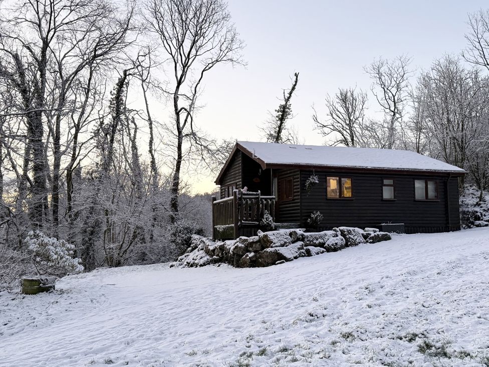 A cabin surrounded by snow and trees at Ash Lodge in Mynydd Cerrig near Porthyrhyd