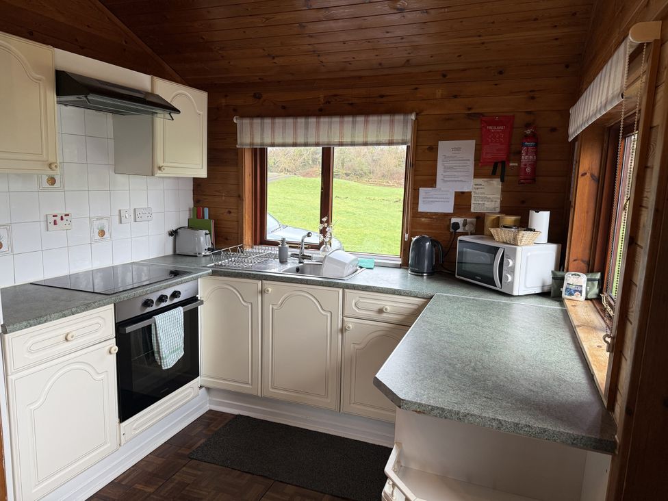 A kitchen with appliances and a window view at Ash Lodge Mynydd Cerrig near Porthyrhyd