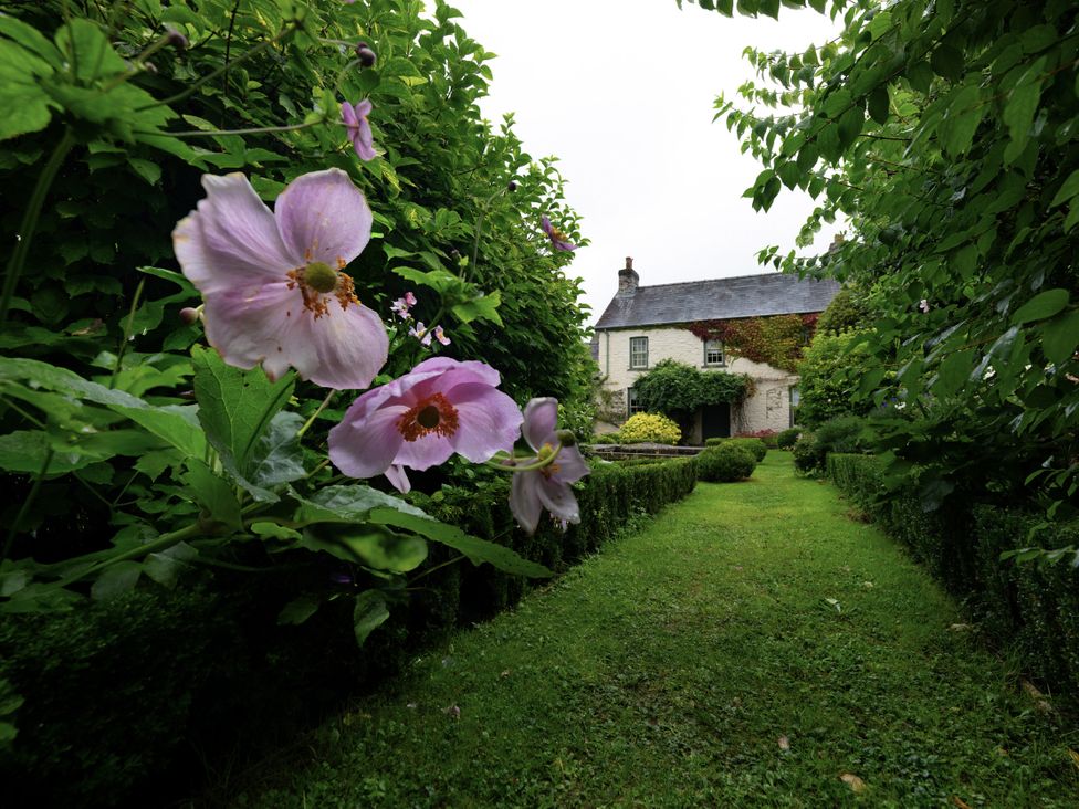 A garden pathway with flowers leading to a house at West Cottage in Llandovery