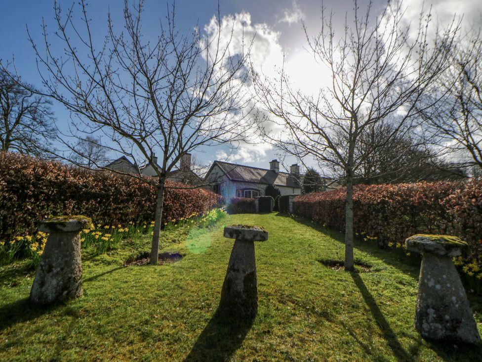 A garden with trees and stones at North Cottage in Myddfai near Llandovery