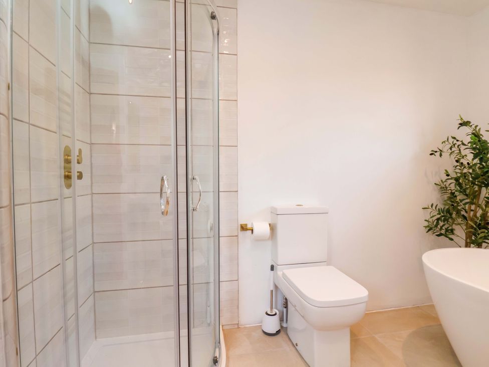 A bathroom with a shower, toilet, and plant at 16 High Street