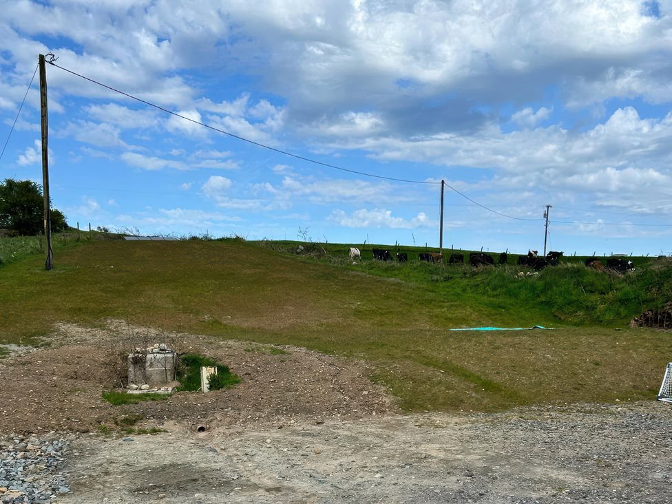 An outdoor view with cows on the hill at Knocknanuss