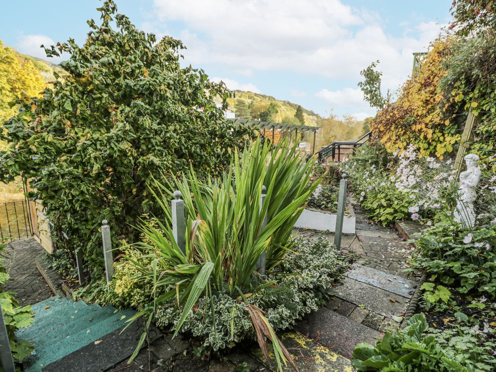 A garden with a pathway and plants at Bryn Dwr in Llangollen