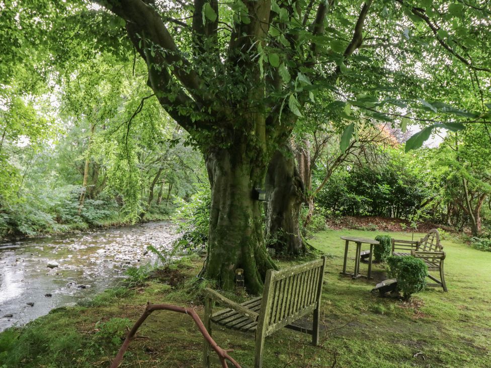 A garden with a tree and benches by a stream at Shelley in Ambleside