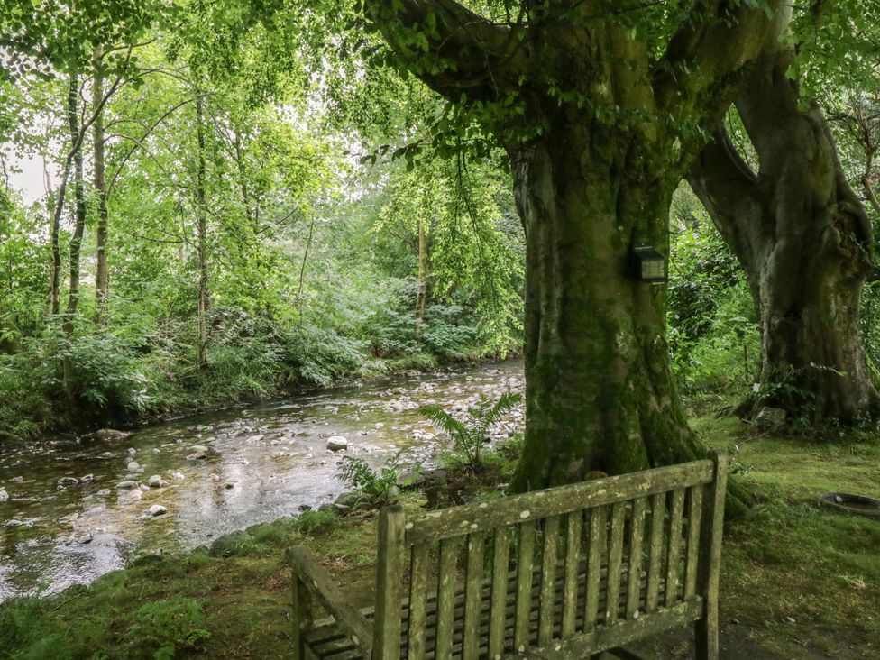 A bench beside a river with trees in a natural setting at Shelley, Ambleside