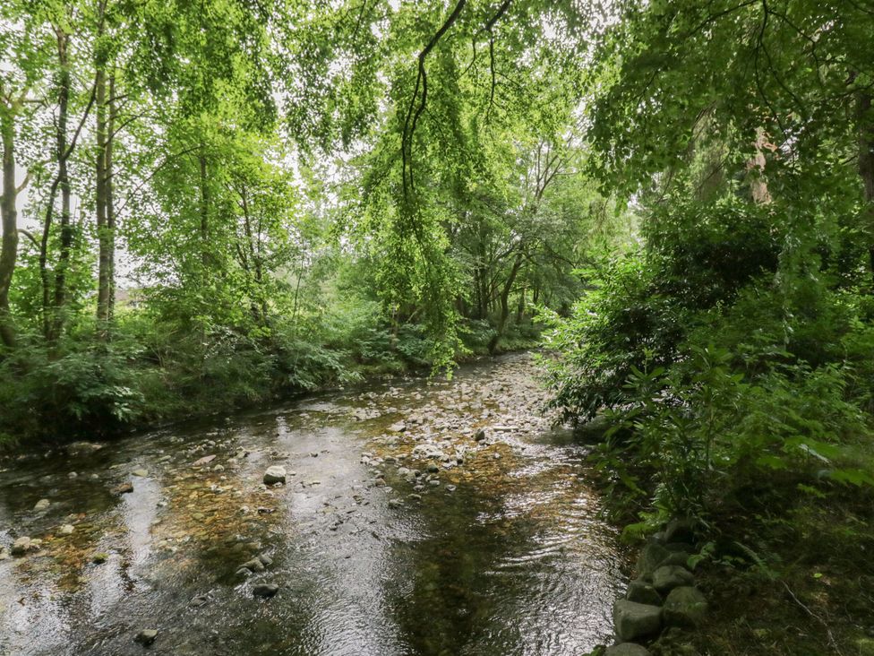 A stream surrounded by trees and rocks at Dorothy in Ambleside