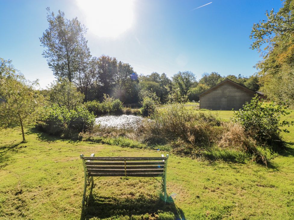 A garden with a bench facing a pond at Cadno in Llanybydder