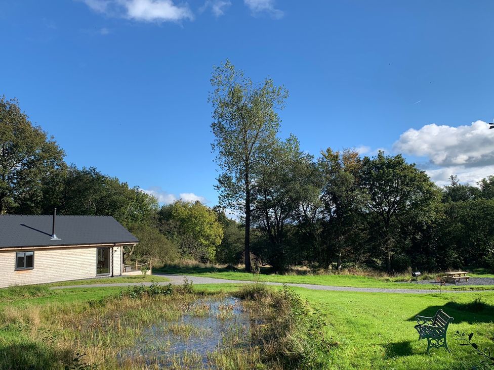 A house with a pond and trees in a garden at Cadno Aber near Llanybydder