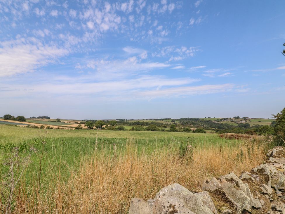 A field with trees and a stone wall at Wigley House Farm Bungalow Chesterfield