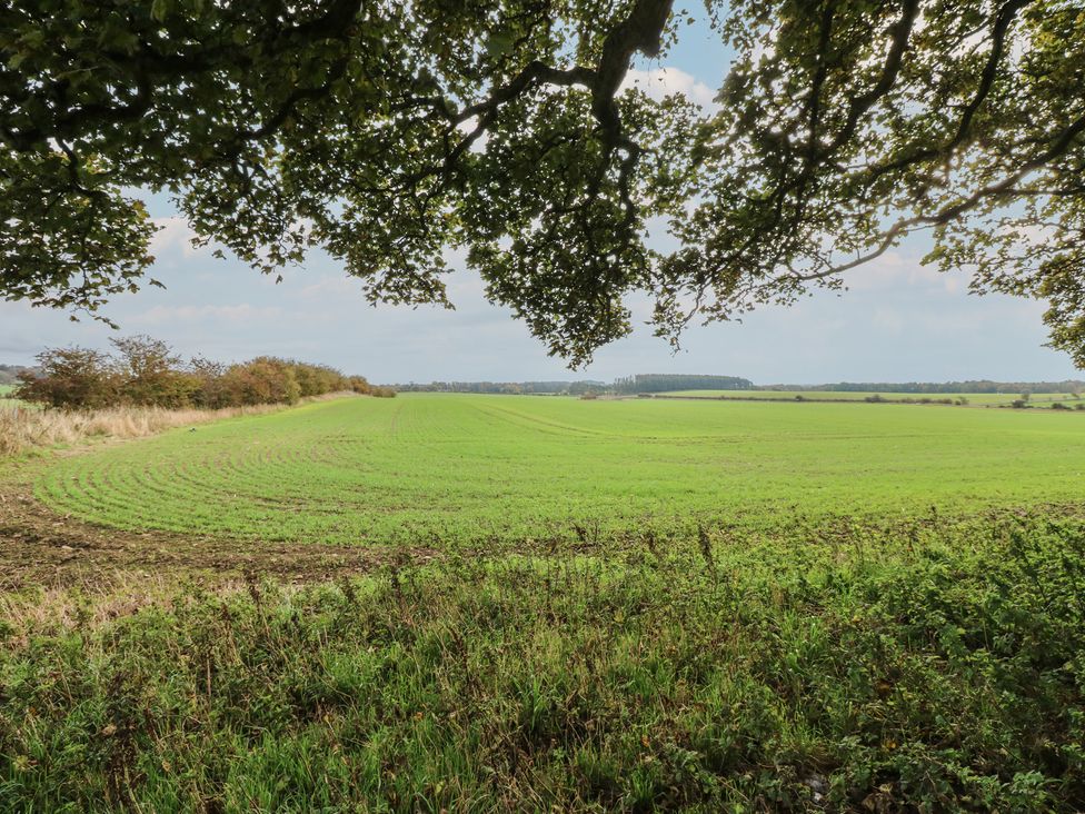 A landscape view of a green field and trees at The Annex in 