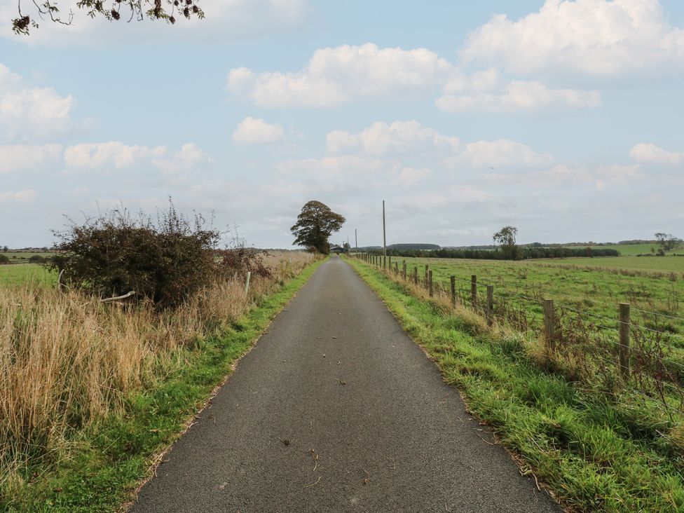 A road lined with grass and trees at The Annex 