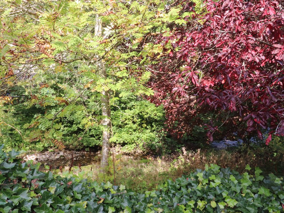 A garden with trees and a stream at Langcliffe House in Kettlewell