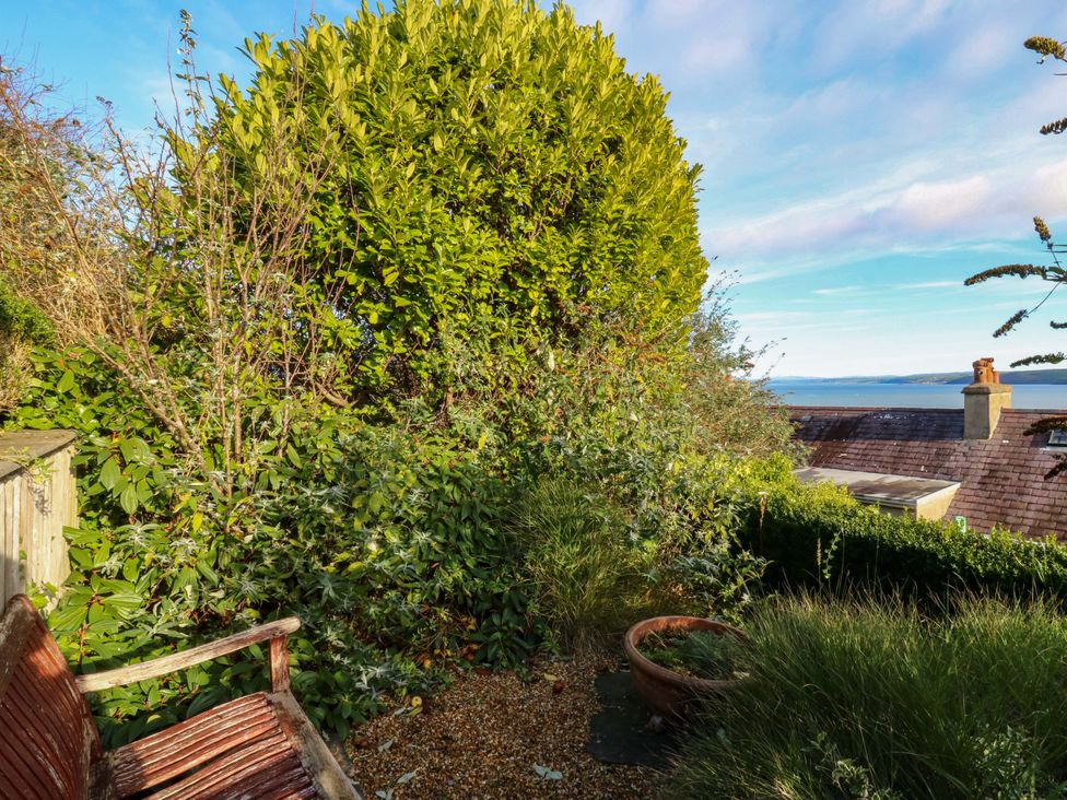 A garden view with plants and a bench at Zenobia in New Quay