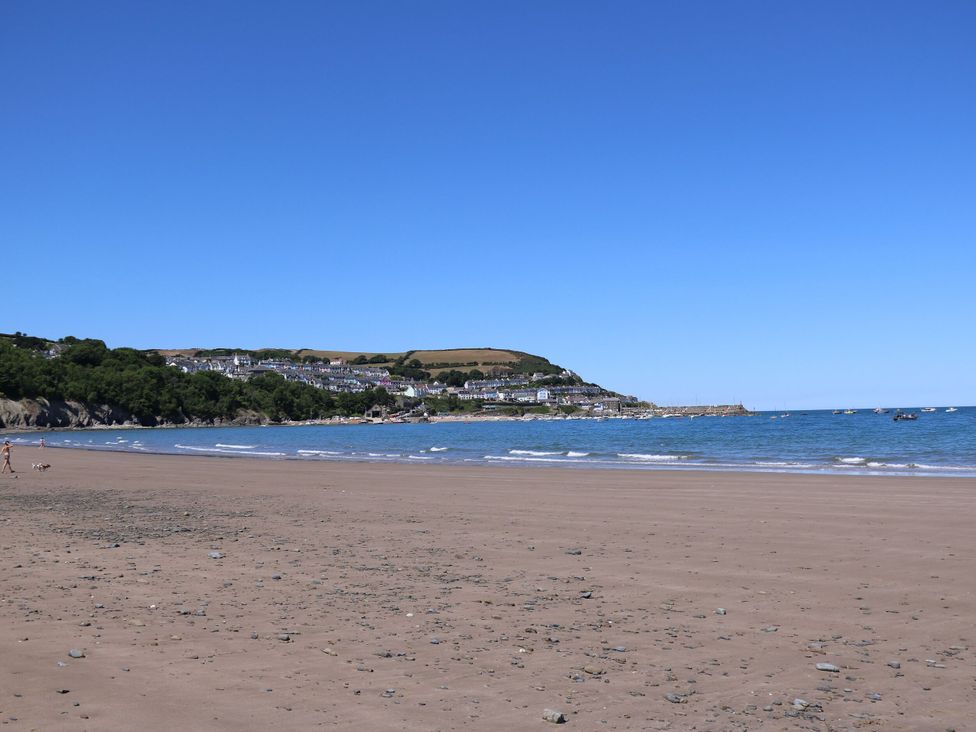 A beach with sea and houses in the background at Zenobia in New Quay