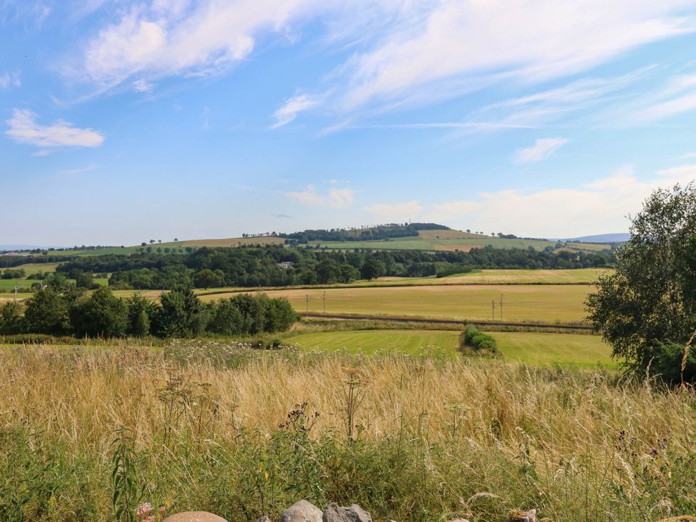 A view of fields and hills with trees at Ashtree Cottage