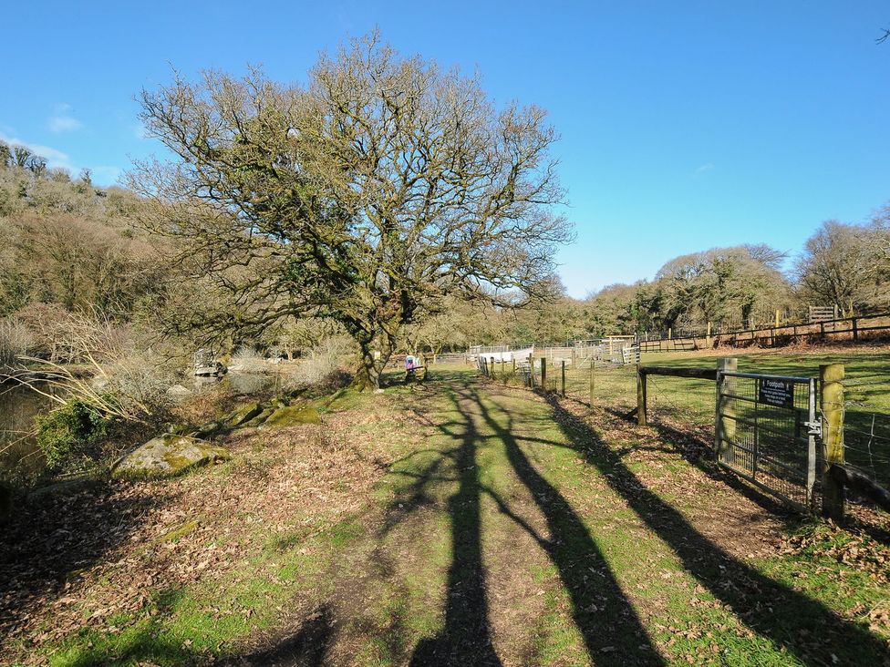 A path beside a tree and fence in a rural area at Trevano St Breward