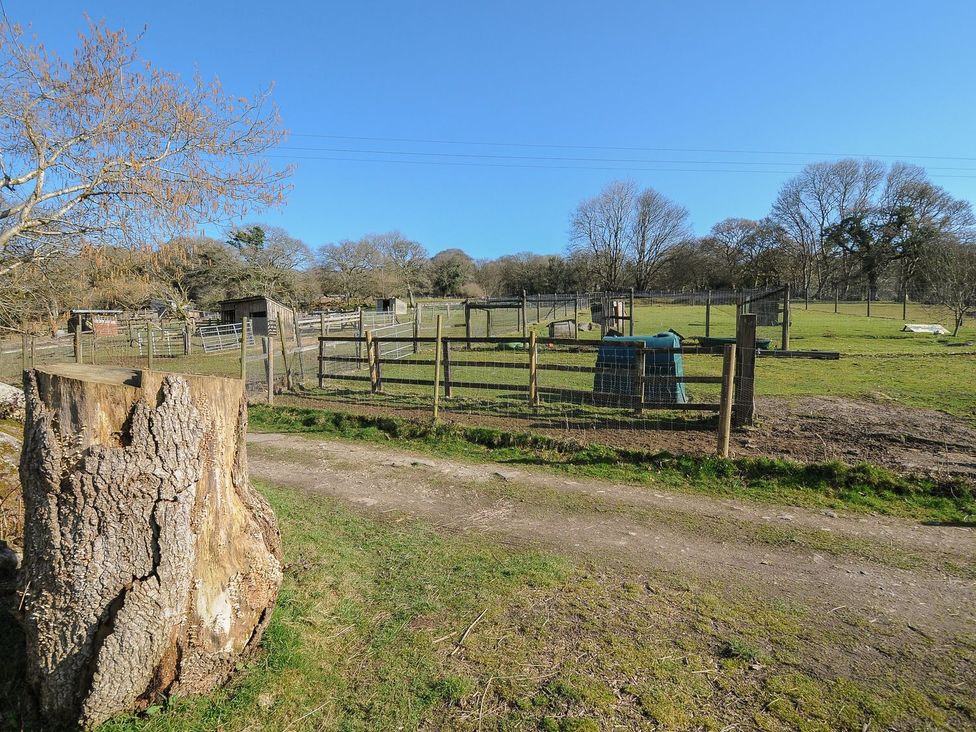 An outdoor area with a tree stump and animal pens at Eden in St Breward