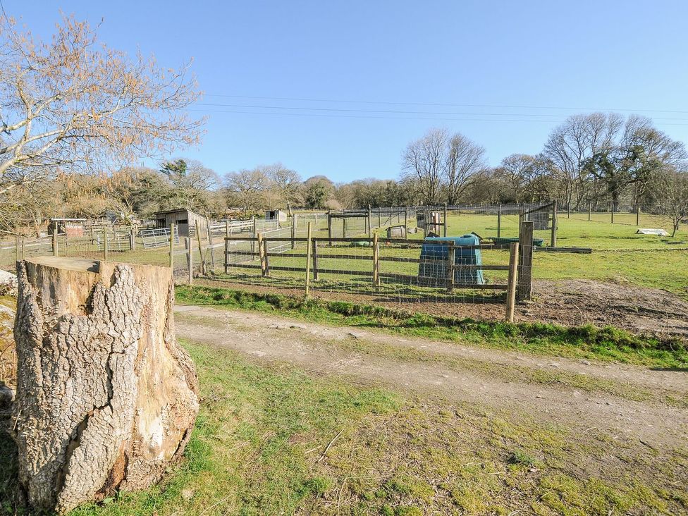 An outdoor area with a tree stump and fences at Polzeath in St Breward
