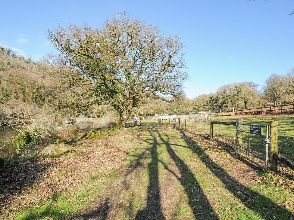 A pathway with a tree and fence at Polzeath in St Breward