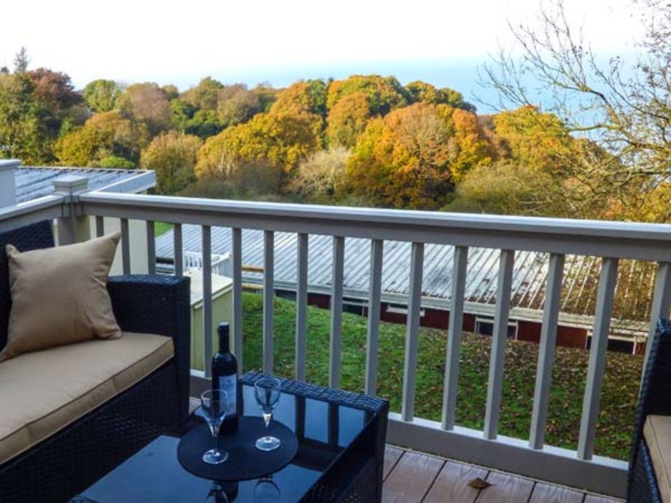 A balcony with a wine bottle and glasses overlooking trees at I C Lundy Too Bideford Bay Holiday Park near Clovelly