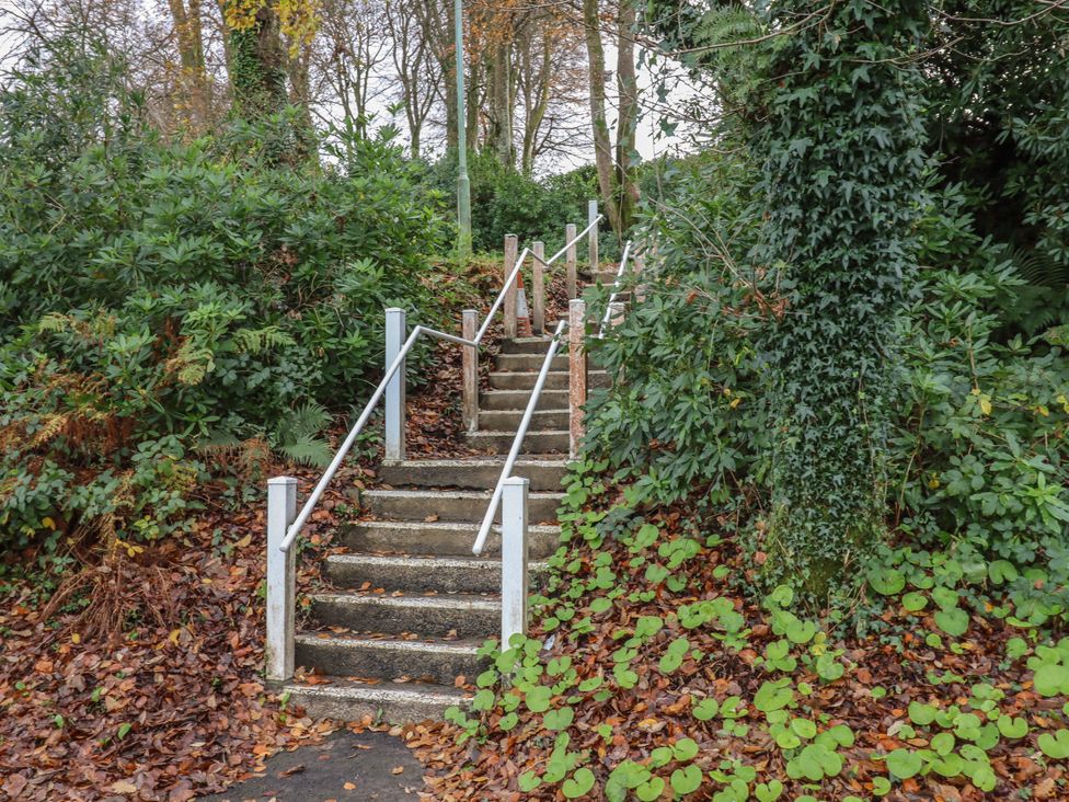 A set of stairs surrounded by plants and leaves at a park