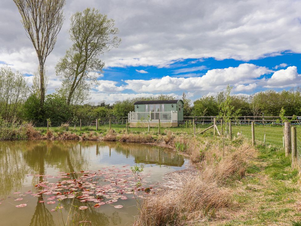 A pond with water lilies and a cabin at The Dragonfly Bewholme near Hornsea