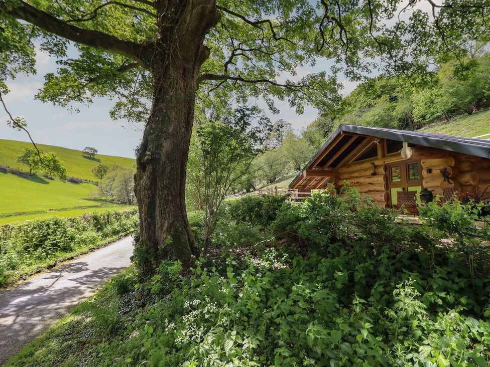 A log cabin near a tree and road at Owl Valley Cabin in Bwlch-y-Ddar near Llanfyllin