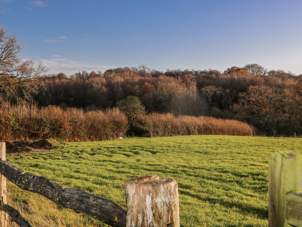 A field with grass and trees under a blue sky at Farm house in 