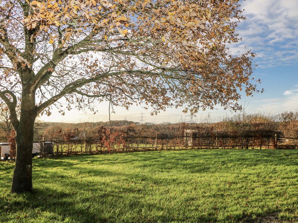 A garden with a tree and grass at the Farm house in 