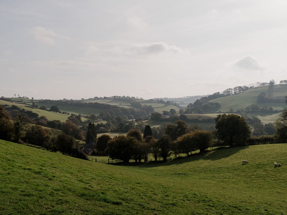 A landscape with rolling hills and grazing sheep at Holwell Farmhouse in Bampton