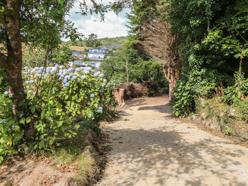 A pathway with flowers and trees leading to houses at Garreg Fawr in 
