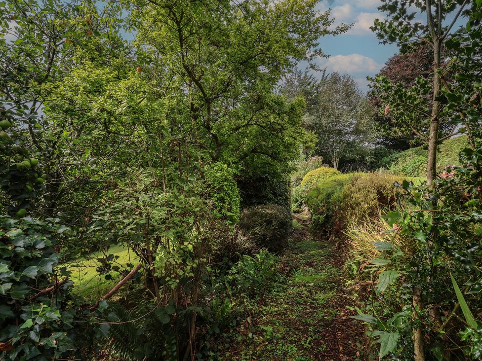 A garden pathway with trees and bushes at Hedgerose in Goodleigh near Barnstaple