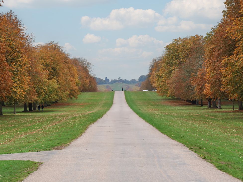 A pathway lined with trees at Castle View in Windsor, Berkshire
