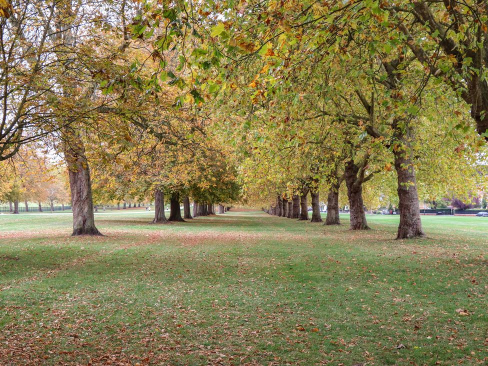 A pathway lined with trees and fallen leaves at Castle View, Windsor, Berkshire